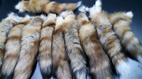 real fox tails|fox tails for women.